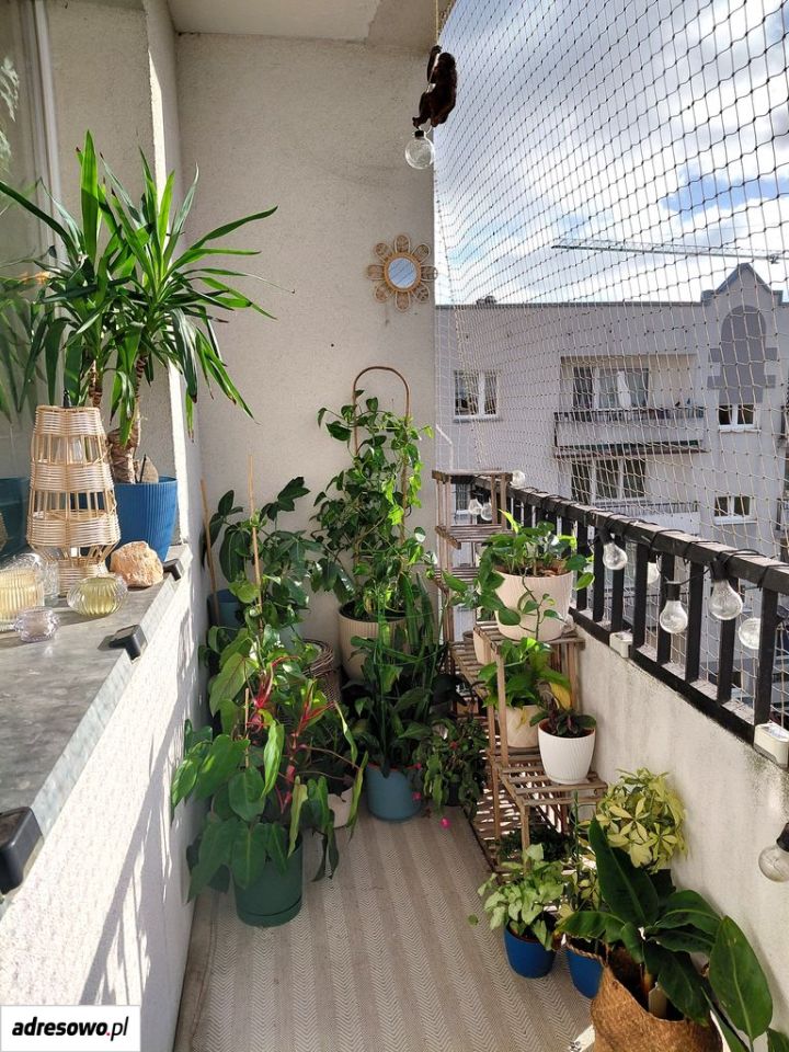 Mieszkanie 3-pokojowe Łódź Radogoszcz. Zdjęcie 12