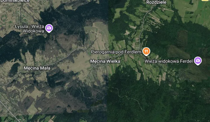 Działka leśna Męcina Wielka