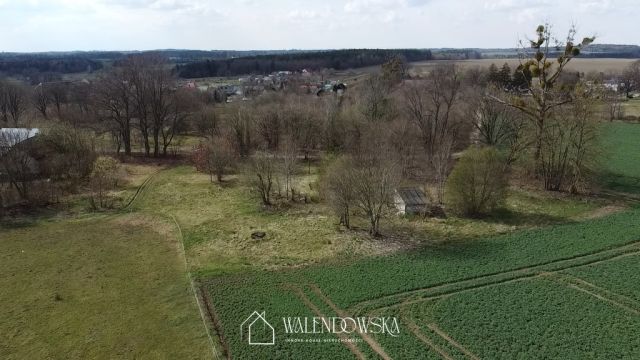 Działka siedliskowa Łabiszewo. Zdjęcie 2