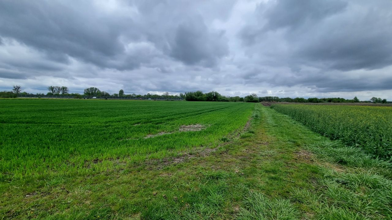 Działka rolna Żuków. Zdjęcie 4