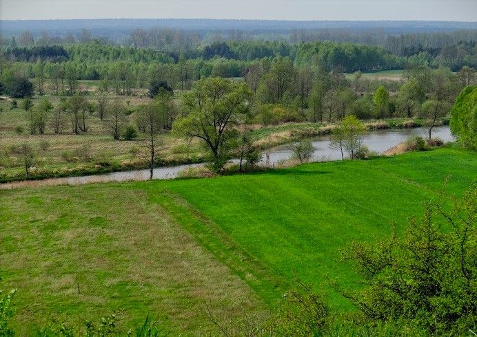 Działka budowlana Strońsko. Zdjęcie 8