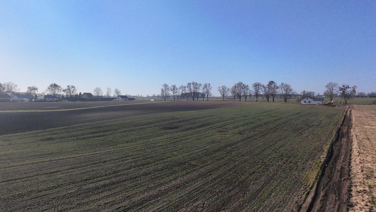 Działka budowlana Gołębiewo Wielkie, ul. Dalii. Zdjęcie 3