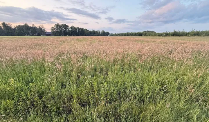Działka budowlana Poręby