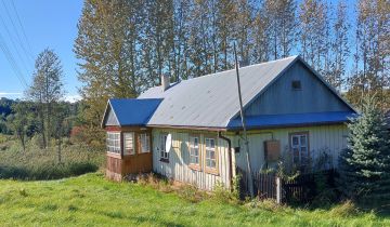 gospodarstwo, 2 pokoje Ołpiny