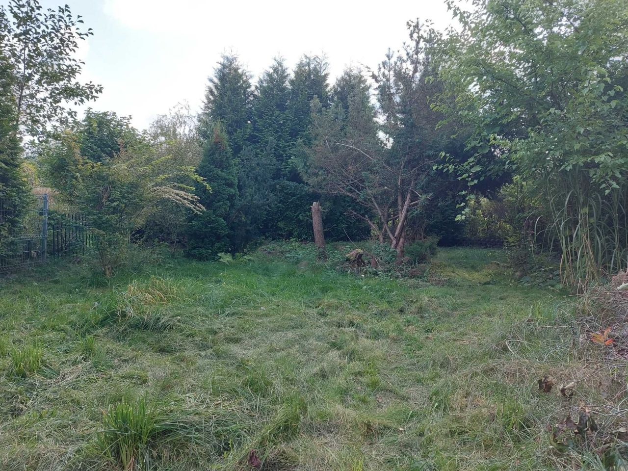 Działka rod Gdańsk Oliwa. Zdjęcie 1