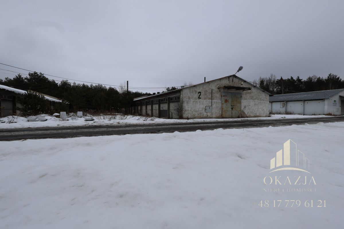 Lokal Wysoka Głogowska. Zdjęcie 2