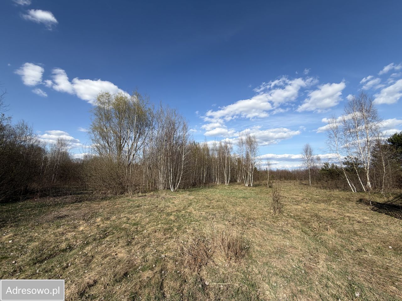 Działka budowlana Łosia Wólka. Zdjęcie 9