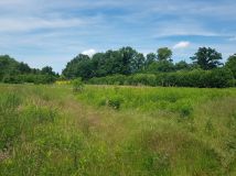 Działka budowlana Stawiska, Stawiska. Zdjęcie 4
