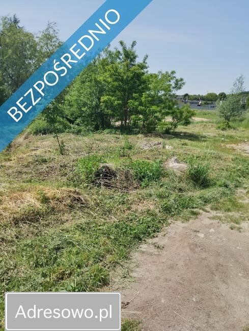 Działka budowlana Orzech, ul. Ogrodowa. Zdjęcie 4