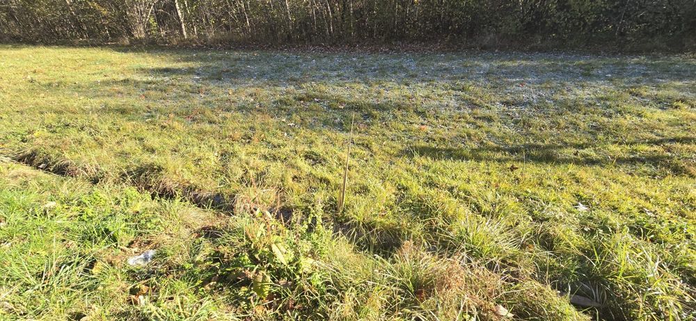 Działka rolno-budowlana Młyńczyska. Zdjęcie 5