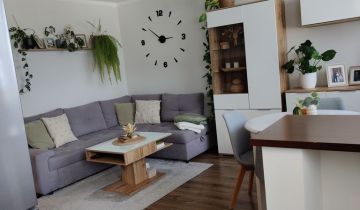 Mieszkanie 2-pokojowe Lubin, ul. Małomicka