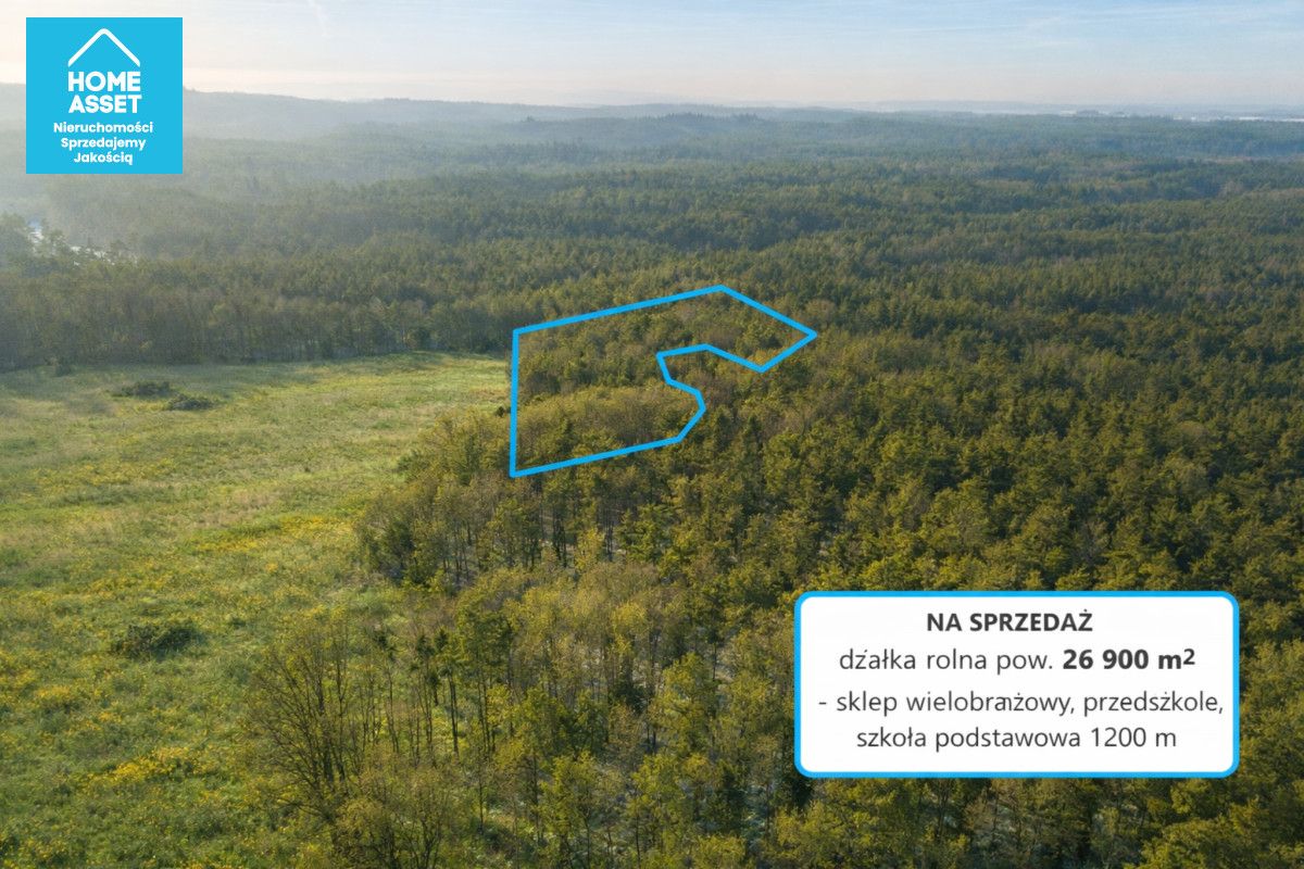 Działka rolna Bieszkowice. Zdjęcie 6