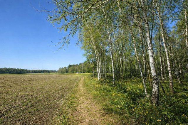 Działka rekreacyjna Bukowina. Zdjęcie 1