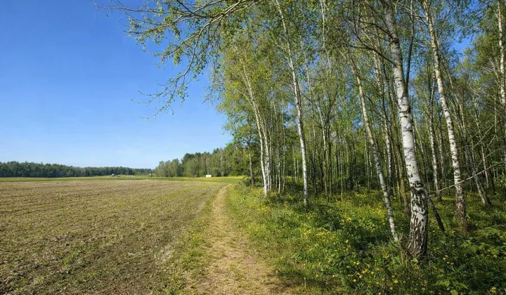 Działka rekreacyjna Bukowina