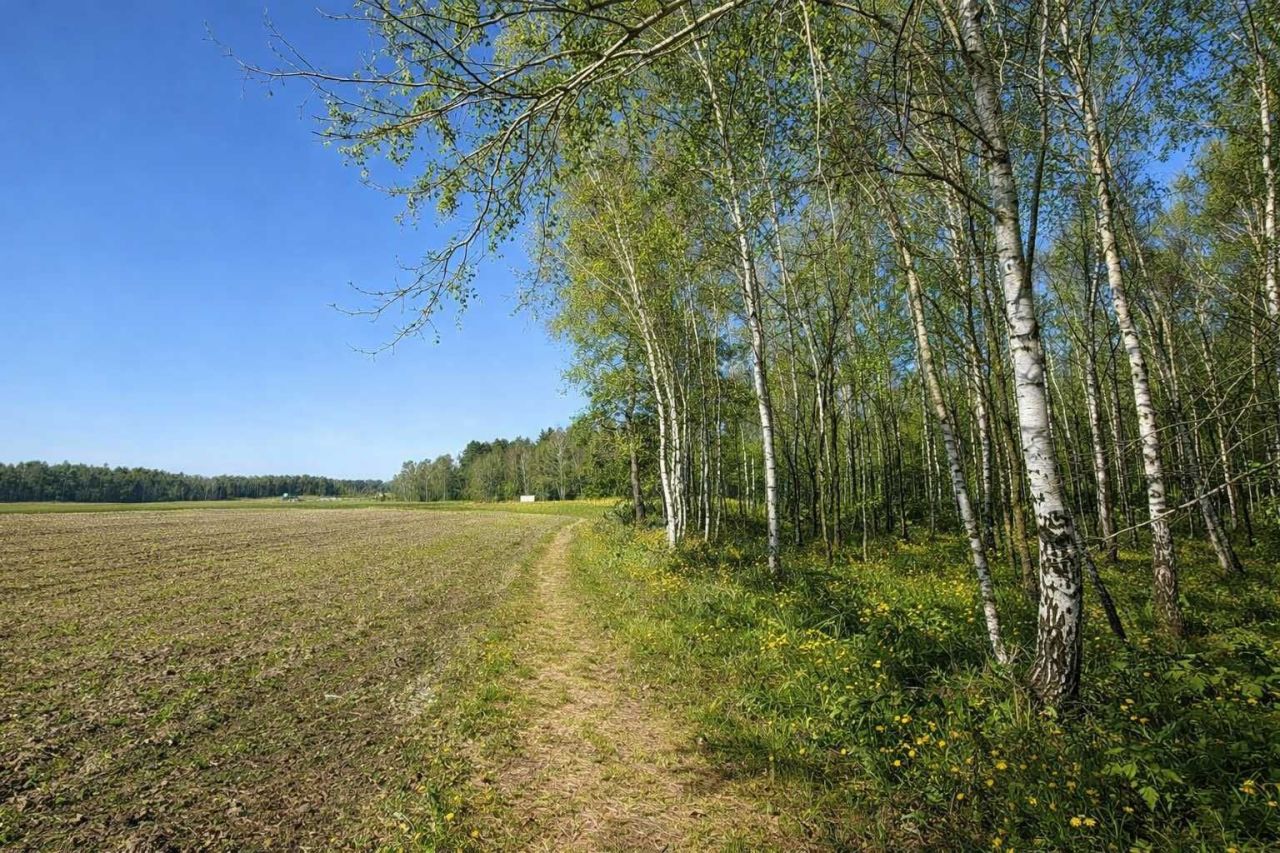 Działka rekreacyjna Bukowina. Zdjęcie 1