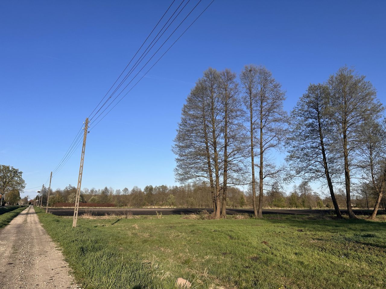 Działka budowlana Baranowice. Zdjęcie 9