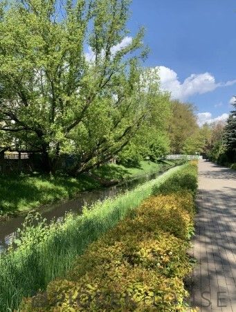 Mieszkanie 2-pokojowe Warszawa Targówek, ul. św. Wincentego. Zdjęcie 12