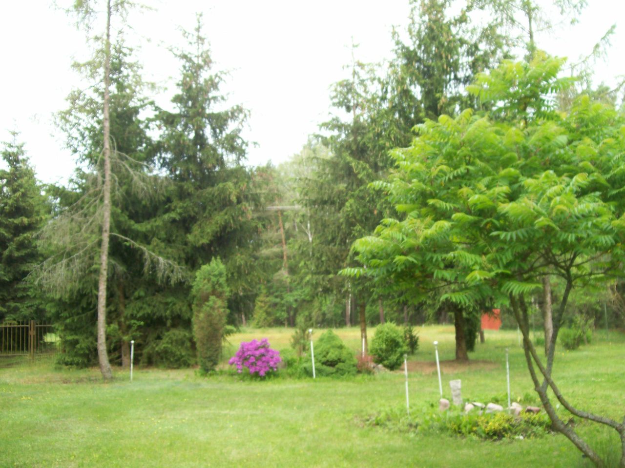 Działka siedliskowa Piskornik. Zdjęcie 1