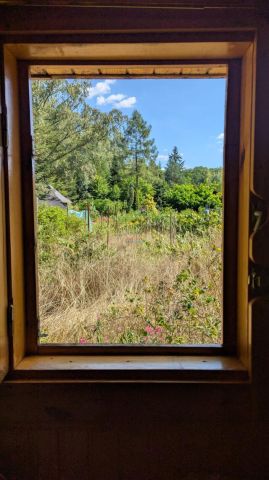 Działka rolna Chojnów. Zdjęcie 3