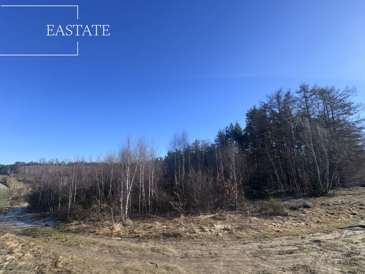 Działka inwestycyjna Pierwoszyno, ul. Jabłoniowa. Zdjęcie 3