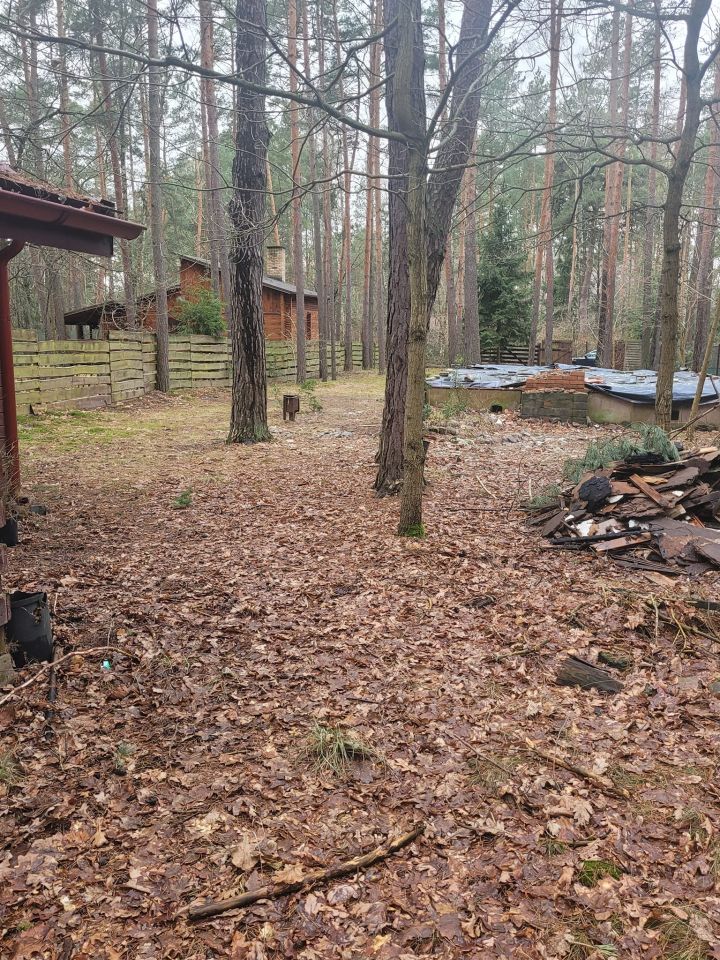 Działka leśna Poddębie, ul. Brzozowa. Zdjęcie 5