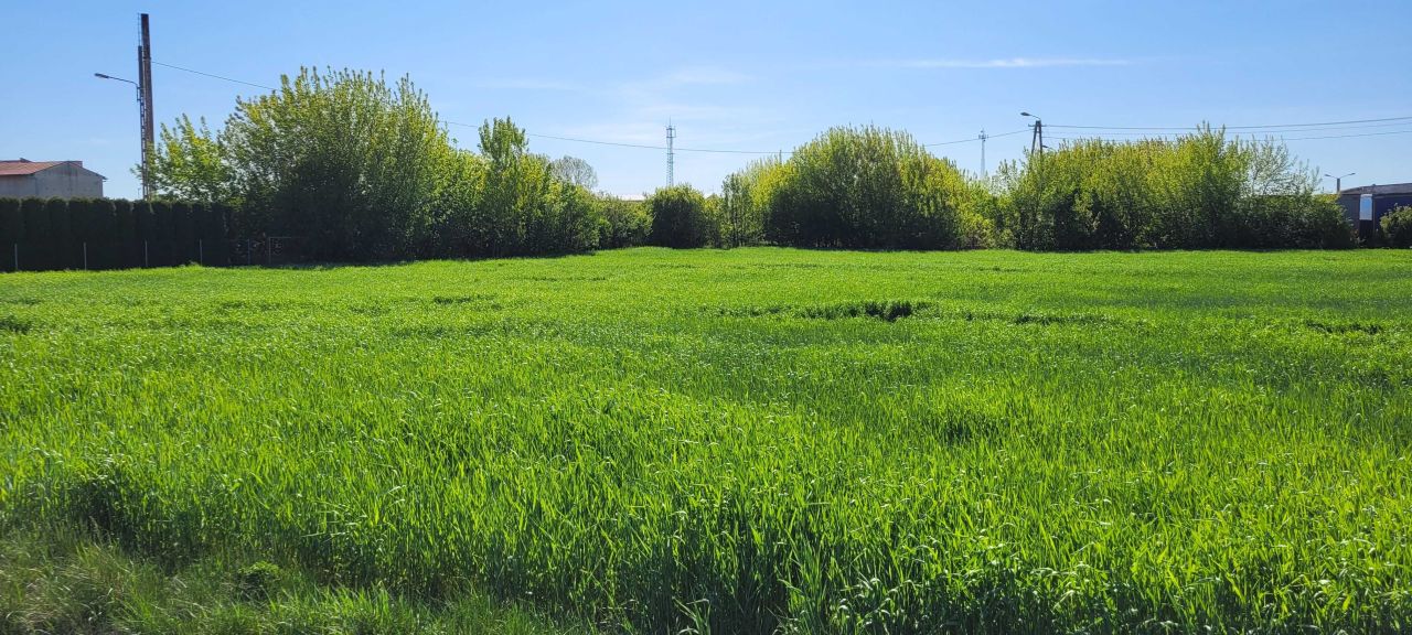 Działka rolno-budowlana Szczuczyn, ul. Szczuki. Zdjęcie 3