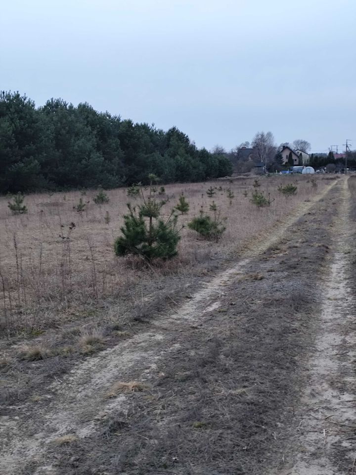 Działka budowlana Gołąbek. Zdjęcie 3