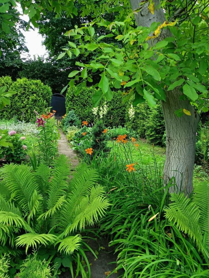 Działka rod Będzin, ul. Małobądzka. Zdjęcie 8