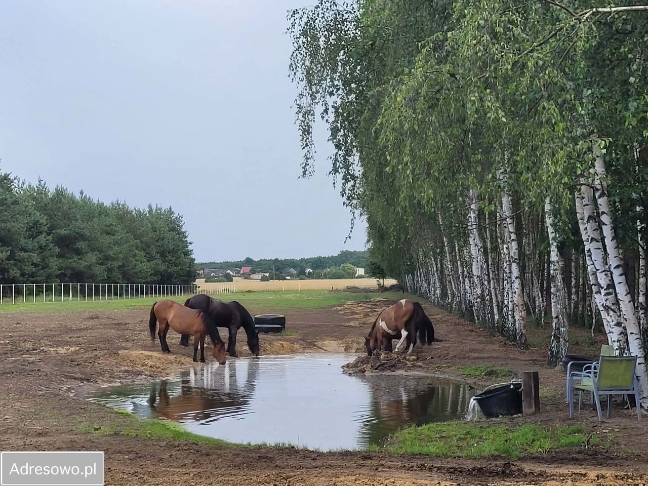 inny, 4 pokoje Chylin. Zdjęcie 17