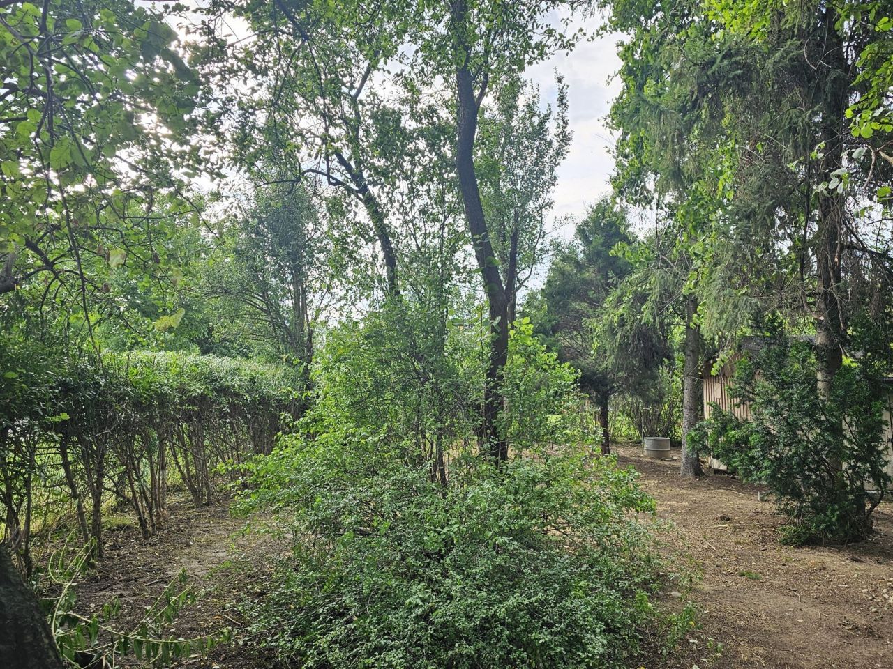 Działka rod Nowy Sącz, ul. Radziecka. Zdjęcie 7