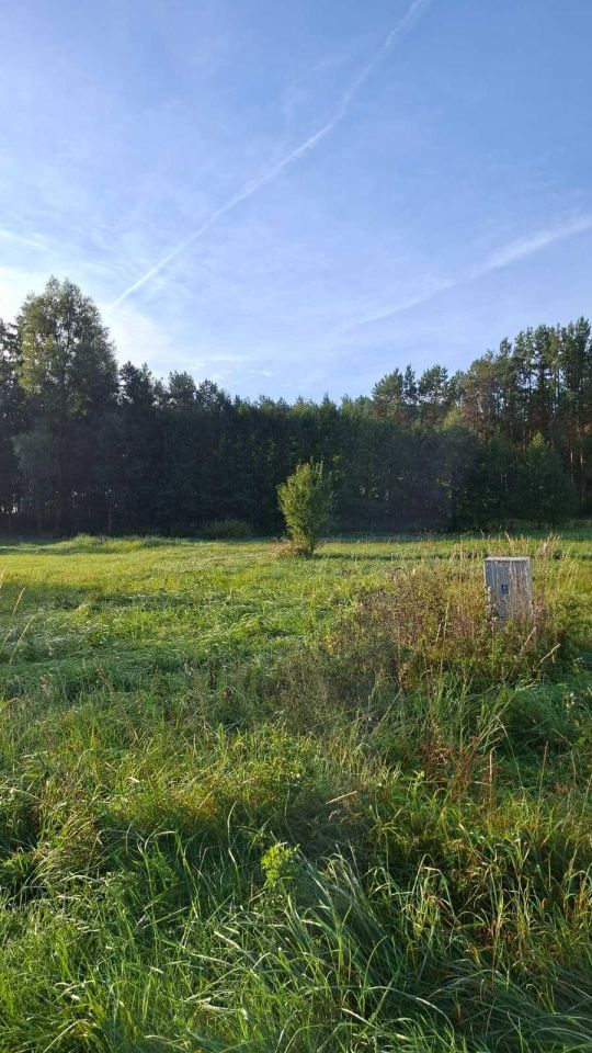 Działka Drawno. Zdjęcie 5