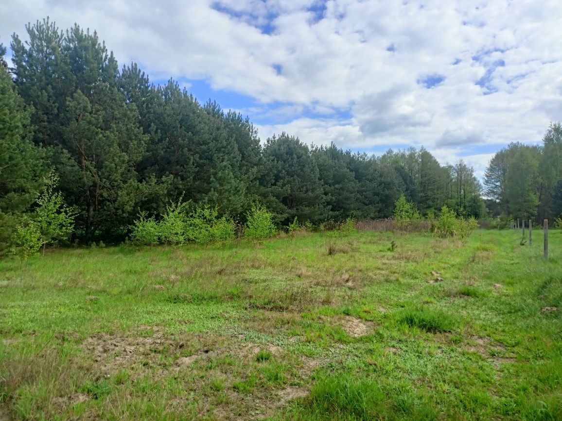 Działka budowlana Władysławowo. Zdjęcie 3