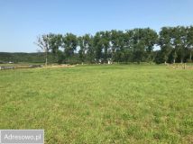 Działka budowlana Sulmin. Zdjęcie 2