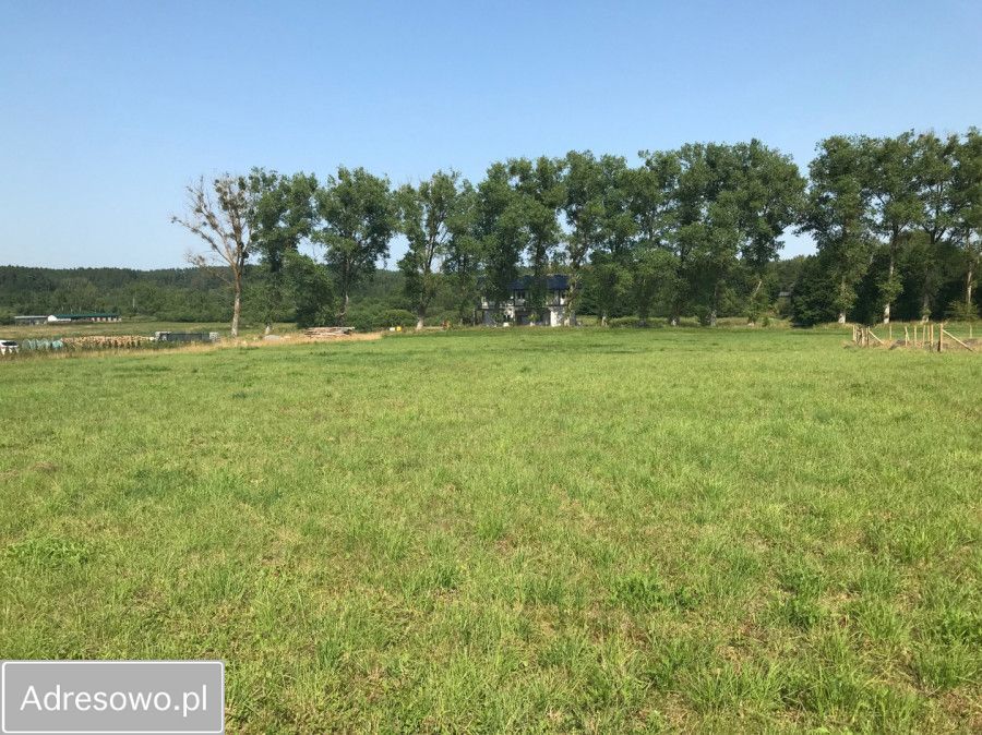 Działka budowlana Sulmin. Zdjęcie 3