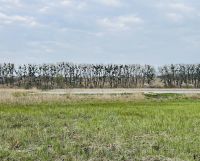 Działka budowlana Wrzeszewo. Zdjęcie 1