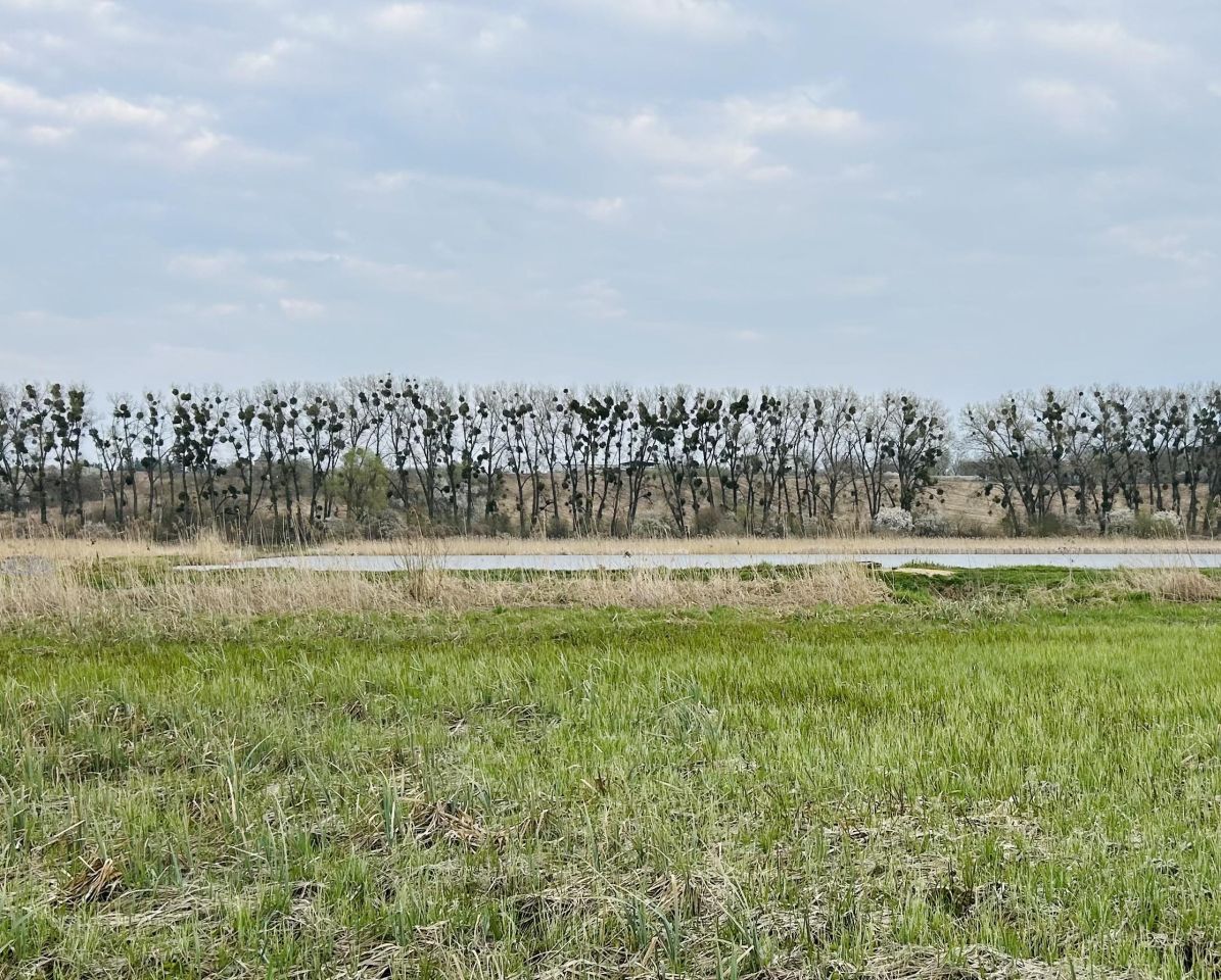 Działka budowlana Wrzeszewo. Zdjęcie 2