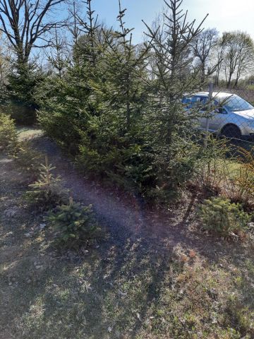 Działka budowlana Szatarpy. Zdjęcie 1