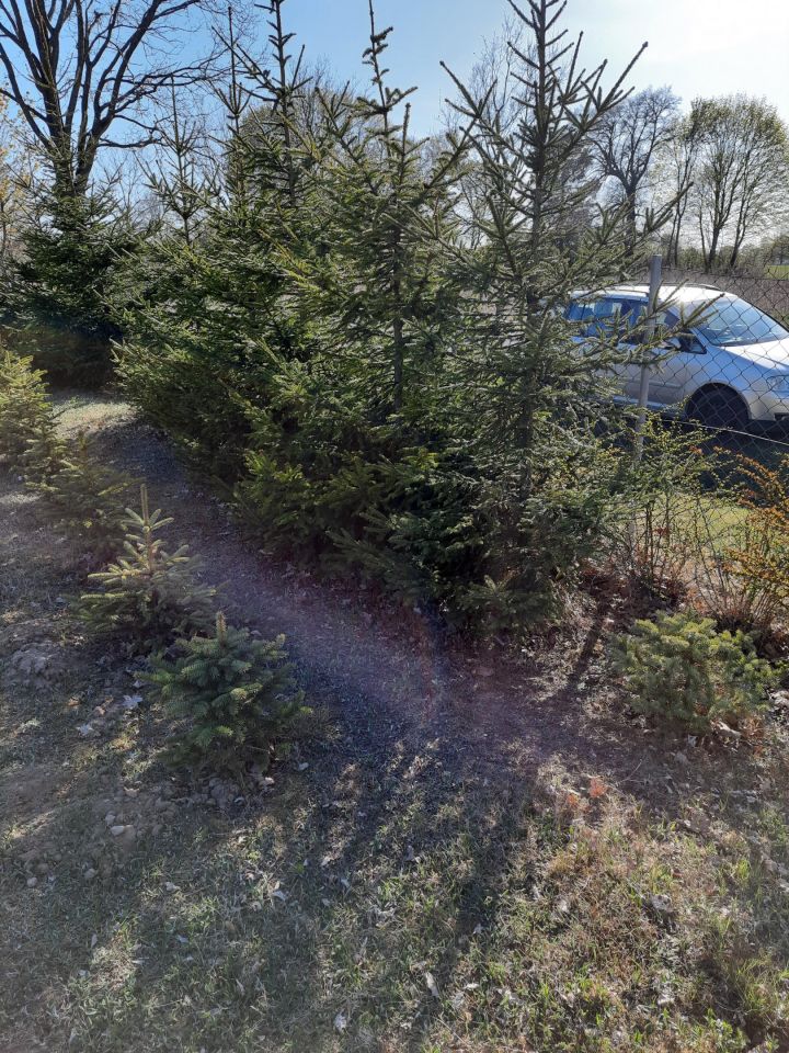 Działka budowlana Szatarpy. Zdjęcie 1