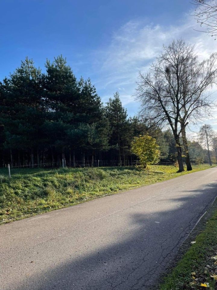 Działka rolno-budowlana Bornity. Zdjęcie 7