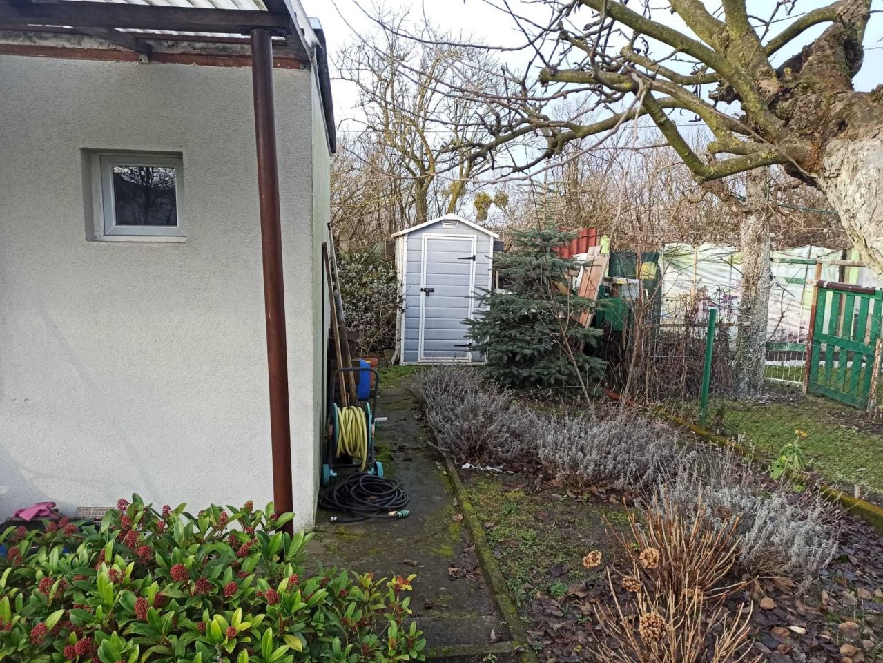 Działka rod Szczecin Świerczewo, ul. Santocka. Zdjęcie 2