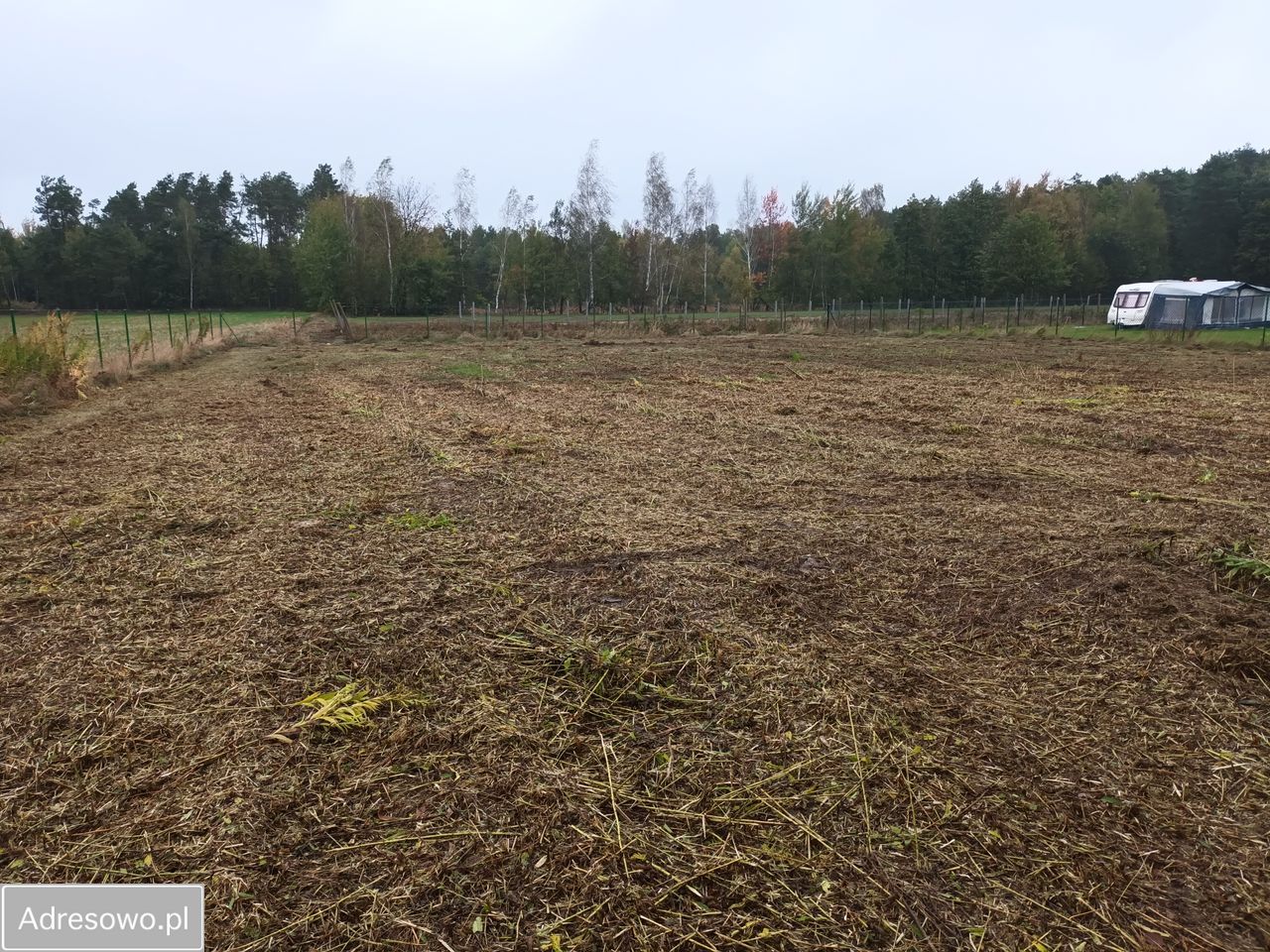 Działka budowlana Borzechów-Kolonia. Zdjęcie 10