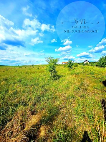 Działka budowlana Woryty. Zdjęcie 2