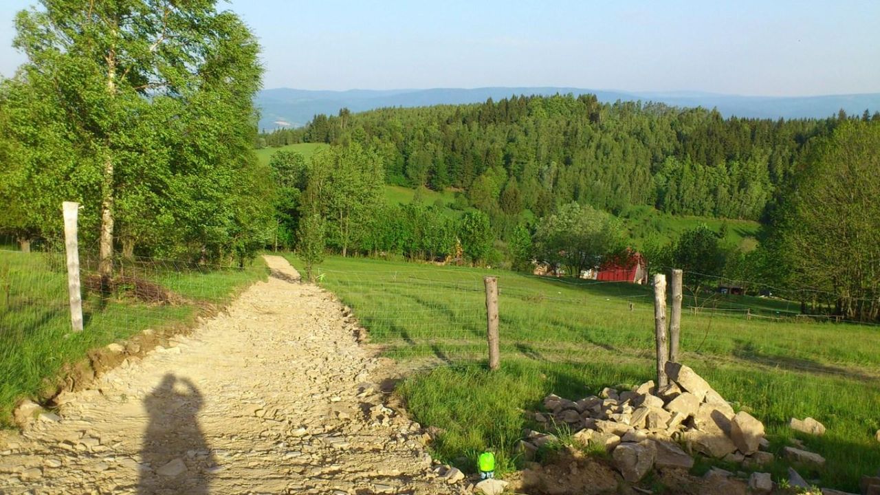 Działka budowlana Międzygórze, ul. Pocztowa. Zdjęcie 2