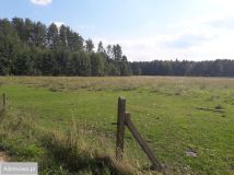 Działka rolno-budowlana Zabłudów. Zdjęcie 3