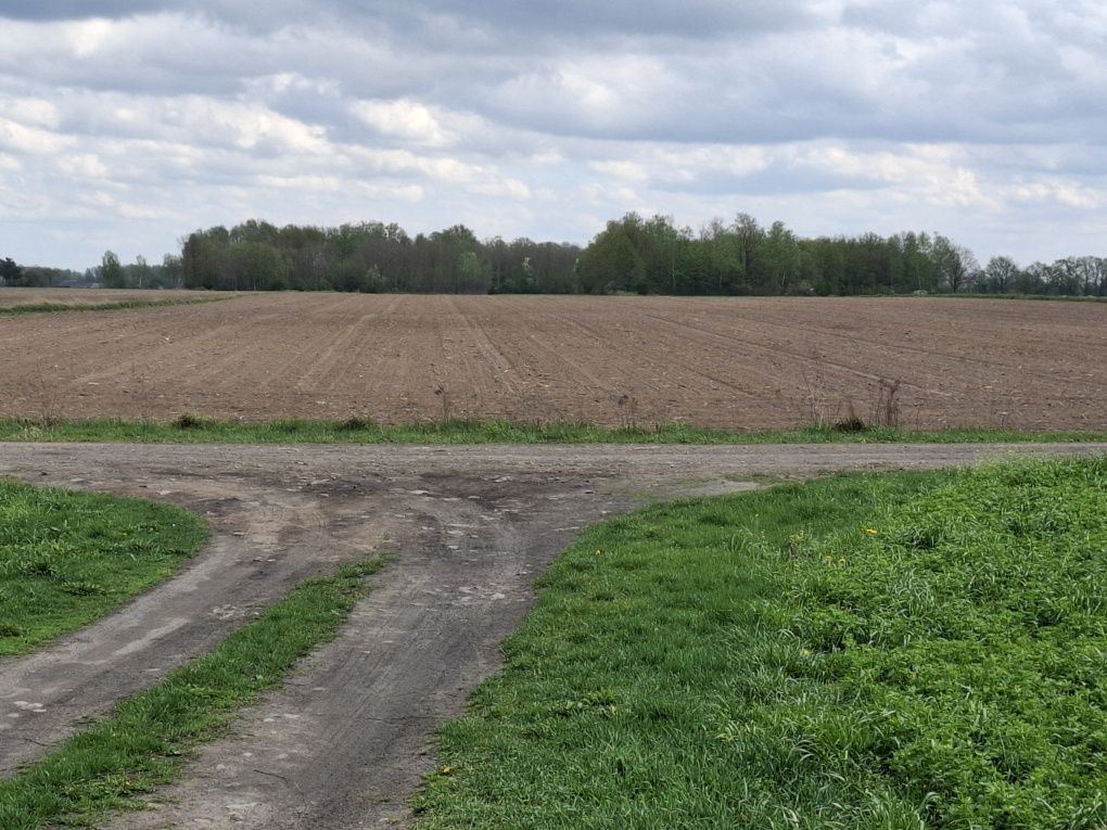 Działka rolna Zawady Dworskie. Zdjęcie 7