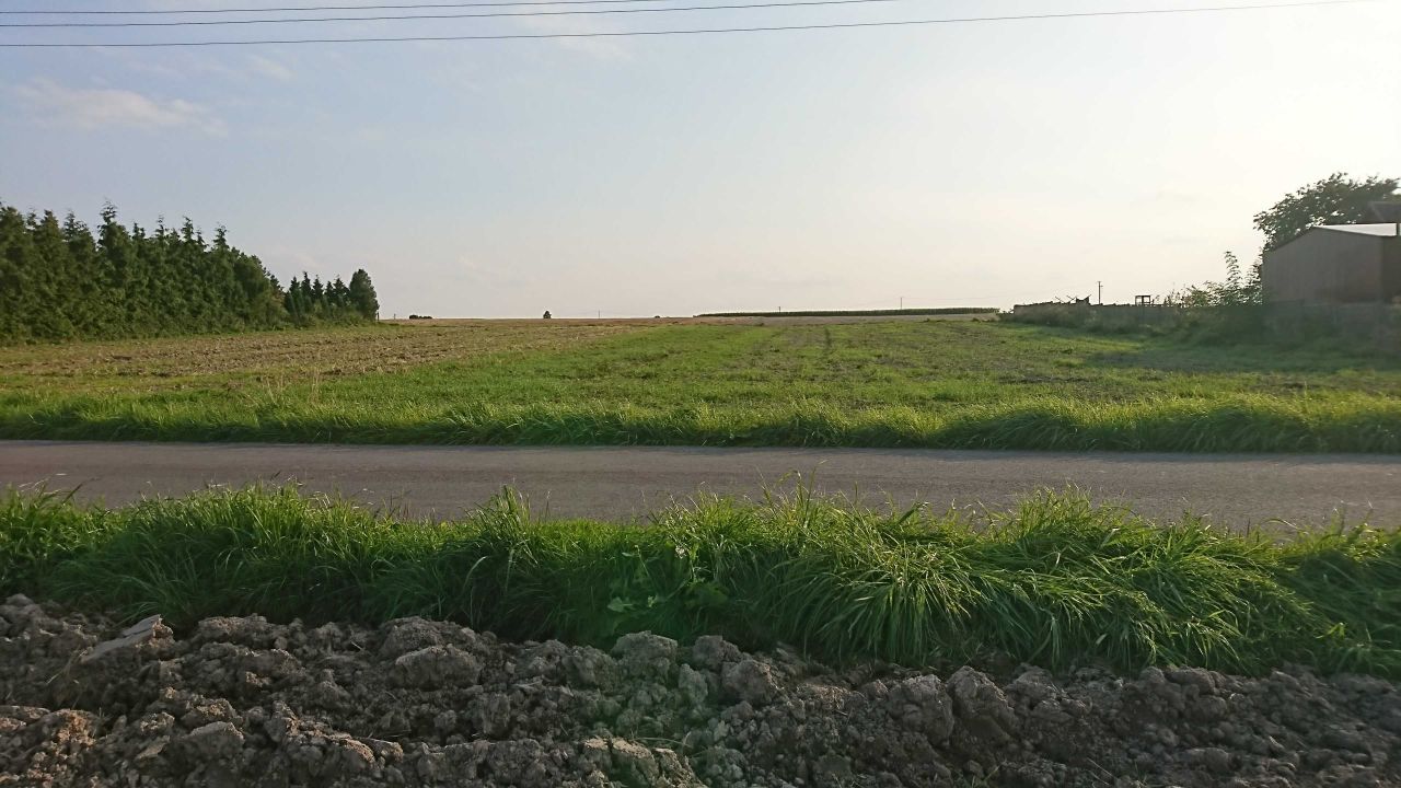 Działka budowlana Słupia. Zdjęcie 3