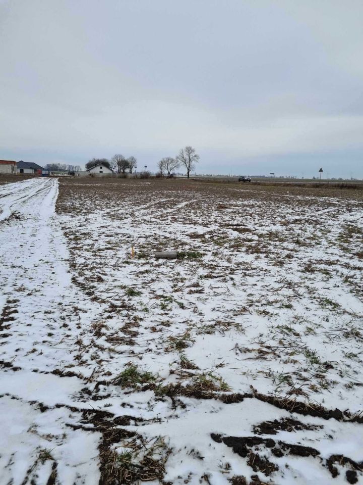 Działka budowlana Zielniki. Zdjęcie 5