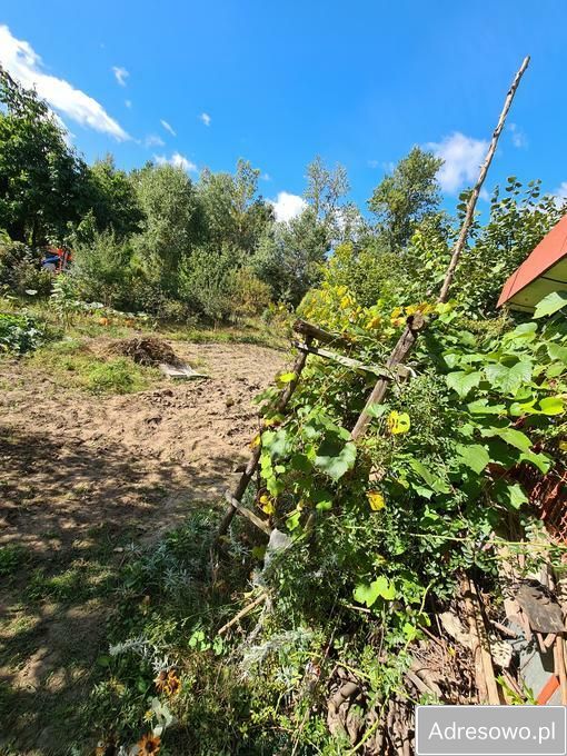 Działka rod Połaniec. Zdjęcie 4