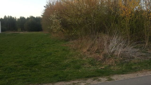 Działka budowlana Siekierka Nowa. Zdjęcie 1