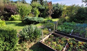 Działka rod Zielona Góra, ul. Nowa